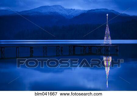 Christmas tree reflecting in lake View Large Photo Image Stock Photo - Christmas tree reflecting in lake. Fotosearch