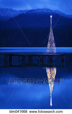 Christmas tree reflecting in lake View Large Photo Image Stock Photo - Christmas tree reflecting in lake. Fotosearch