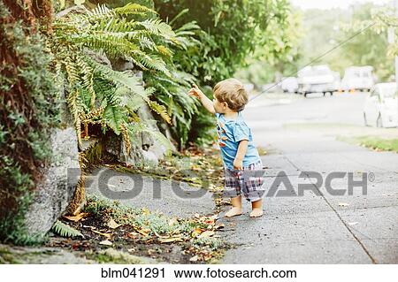 Mixed race baby boy examining plants View Large Photo Image Stock Image - Mixed race baby boy examining plants. Fotosearch
