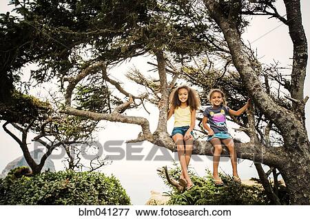 Stock Photo - Mixed race sisters sitting in tree. Fotosearch