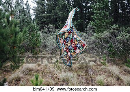 Quilt falling in forest View Large Photo Image Stock Photo - Quilt falling in forest. Fotosearch