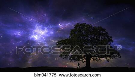 Silhouette of man and tree under night sky View Large Photo Image Stock Photography - Silhouette of man and tree under night sky. Fotosearch