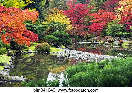 Still ponds in Japanese garden View Large Photo Image Stock Photograph - Still ponds in Japanese garden. Fotosearch