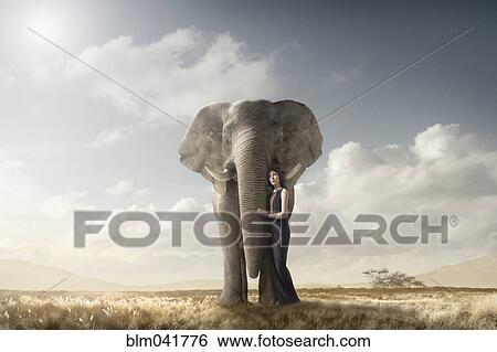 Woman hugging elephant in remote field View Large Photo Image Stock Photograph - Woman hugging elephant in remote field. Fotosearch