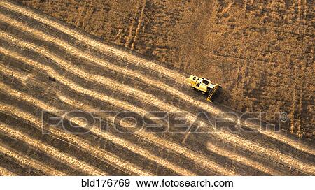 Aerial view of combine harvester in farm field View Large Photo Image Stock Photo - Aerial view of combine harvester in farm field. Fotosearch