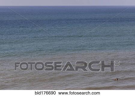 Stock Image - Aerial view of surfer floating on ocean waves. Fotosearch