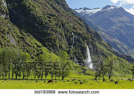 Animals grazing in field in remote landscape View Large Photo Image Stock Photo - Animals grazing in field in remote landscape. Fotosearch