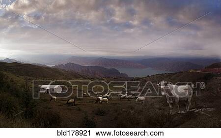 Animals grazing on remote hillside View Large Photo Image Stock Image - Animals grazing on remote hillside. Fotosearch