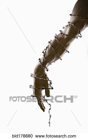 Stock Image - Arm and hand wrapped in barbed wire. Fotosearch