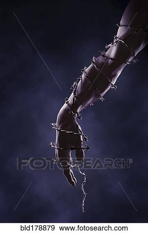Arm and hand wrapped in barbed wire View Large Photo Image Stock Photo - Arm and hand wrapped in barbed wire. Fotosearch