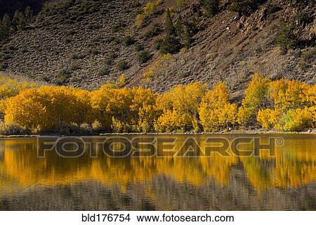 Autumn trees and hillside reflecting in lake View Large Photo Image Picture - Autumn trees and hillside reflecting in lake. Fotosearch