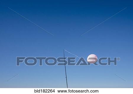Balloon tied to pole in blue sky View Large Photo Image Picture - Balloon tied to pole in blue sky. Fotosearch