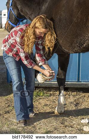 Stock Image - Caucasian adjusting horseshoe for horse on ranch. Fotosearch