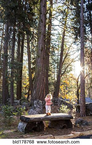 Stock Photo - Caucasian baby girl standing on picnic table in forest. Fotosearch