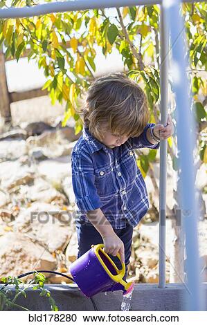 Caucasian boy watering plants in backyard View Large Photo Image Stock Image - Caucasian boy watering plants in backyard. Fotosearch
