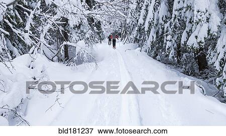 Caucasian couple cross country skiing in snow View Large Photo Image Stock Photo - Caucasian couple cross country skiing in snow. Fotosearch