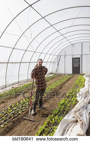 Stock Image - Caucasian farmer standing in greenhouse. Fotosearch