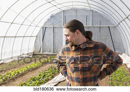 Caucasian farmer standing in greenhouse View Large Photo Image Stock Photograph - Caucasian farmer standing in greenhouse. Fotosearch