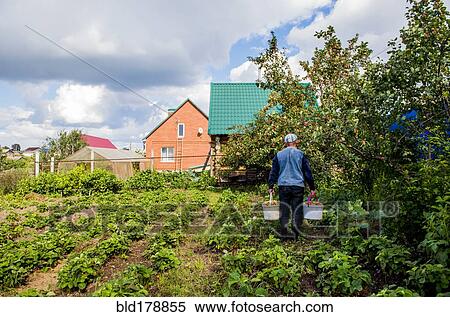 Stock Photography - Caucasian farmer working in garden. Fotosearch