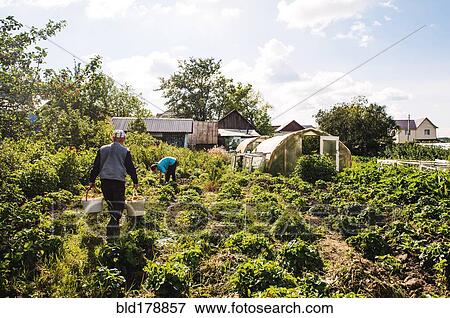 Stock Photo - Caucasian farmers working in garden. Fotosearch