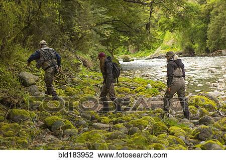 Caucasian friends walking in remote river View Large Photo Image Stock Image - Caucasian friends walking in remote river. Fotosearch