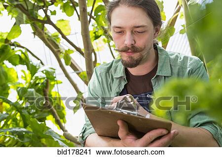 Stock Image - Caucasian gardener writing on clipboard in greenhouse. Fotosearch