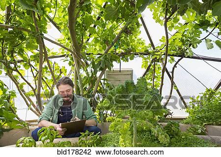 Stock Image - Caucasian gardener writing on clipboard in greenhouse. Fotosearch
