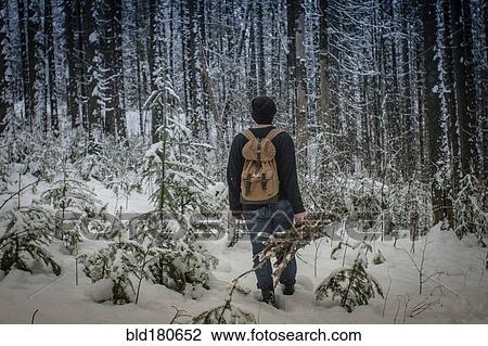 Stock Image - Caucasian hiker carrying firewood in snowy forest. Fotosearch