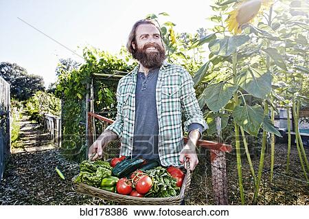 Caucasian man holding basket of vegetables in garden View Large Photo Image Stock Photograph - Caucasian man holding basket of vegetables in garden. Fotosearch
