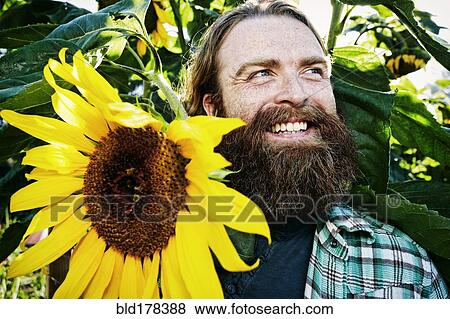 Stock Photo - Caucasian man holding sunflower in garden. Fotosearch