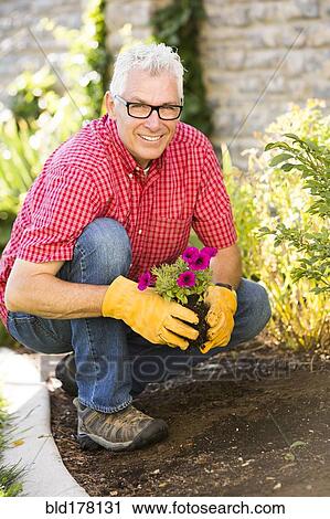 Stock Image - Caucasian man planting flowers in garden. Fotosearch
