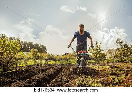 Picture - Caucasian man working in garden. Fotosearch