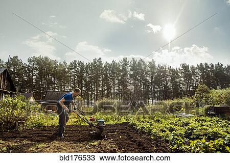 Stock Image - Caucasian man working in garden. Fotosearch