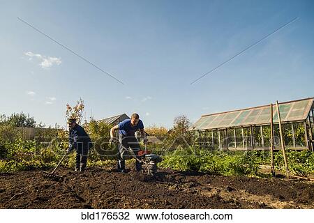 Stock Image - Caucasian men working in garden. Fotosearch