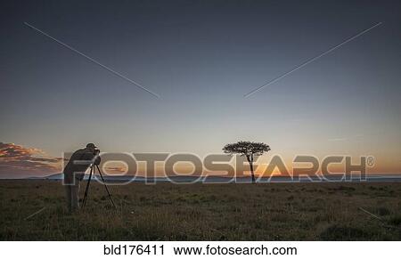 Caucasian photographer photographing tree in savanna View Large Photo Image Stock Image - Caucasian photographer photographing tree in savanna. Fotosearch