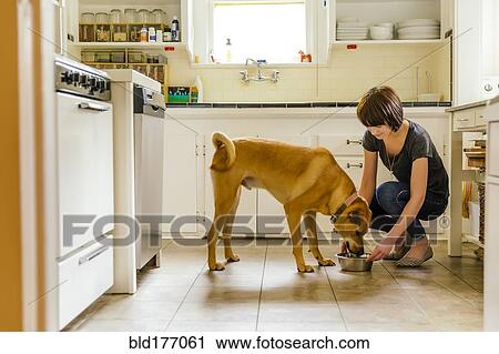 Stock Image - Caucasian woman feeding dog in kitchen. Fotosearch