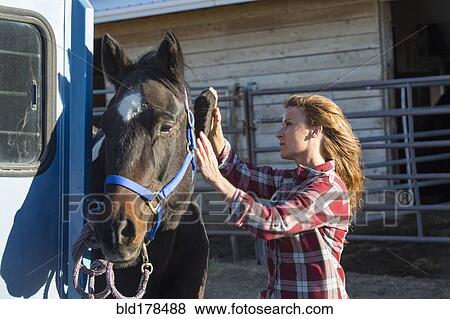 Caucasian woman grooming horse on ranch View Large Photo Image Stock Photo - Caucasian woman grooming horse on ranch. Fotosearch