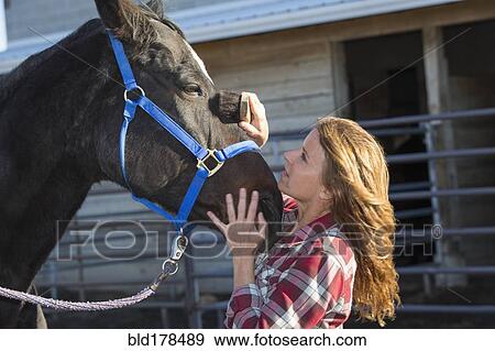 Stock Photo - Caucasian woman grooming horse on ranch. Fotosearch
