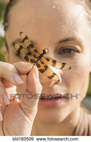 Caucasian woman holding dragonfly View Large Photo Image Stock Photo - Caucasian woman holding dragonfly. Fotosearch