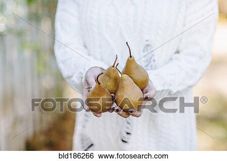 Caucasian woman holding pears View Large Photo Image Stock Photograph - Caucasian woman holding pears. Fotosearch
