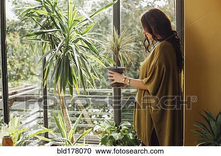 Stock Image - Caucasian woman holding potted plant. Fotosearch