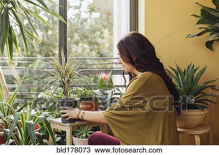 Caucasian woman holding potted plant View Large Photo Image Stock Image - Caucasian woman holding potted plant. Fotosearch