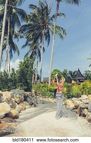 Stock Image - Caucasian woman photographing palm trees on beach. Fotosearch