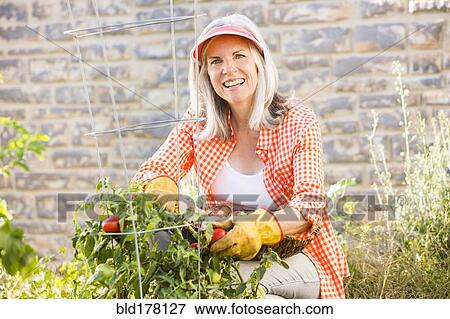 Stock Photo - Caucasian woman picking vegetables in garden. Fotosearch