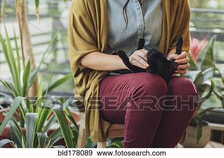 Stock Photo - Caucasian woman playing with kitten. Fotosearch