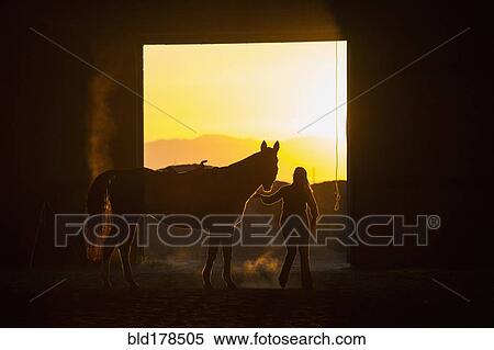 Stock Photography - Caucasian woman riding horse in barn. Fotosearch