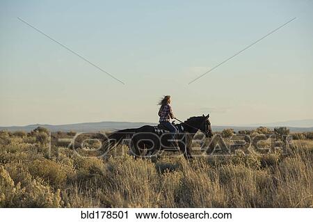 Stock Image - Caucasian woman riding horse in field. Fotosearch