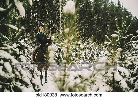 Caucasian woman riding horse in snowy forest View Large Photo Image Stock Photo - Caucasian woman riding horse in snowy forest. Fotosearch
