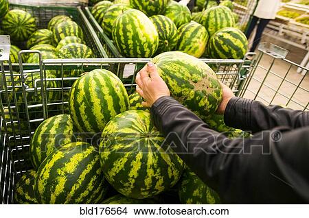 Caucasian woman shopping in grocery store View Large Photo Image Picture - Caucasian woman shopping in grocery store. Fotosearch