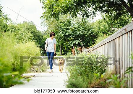 Stock Photo - Caucasian woman walking dog in park. Fotosearch